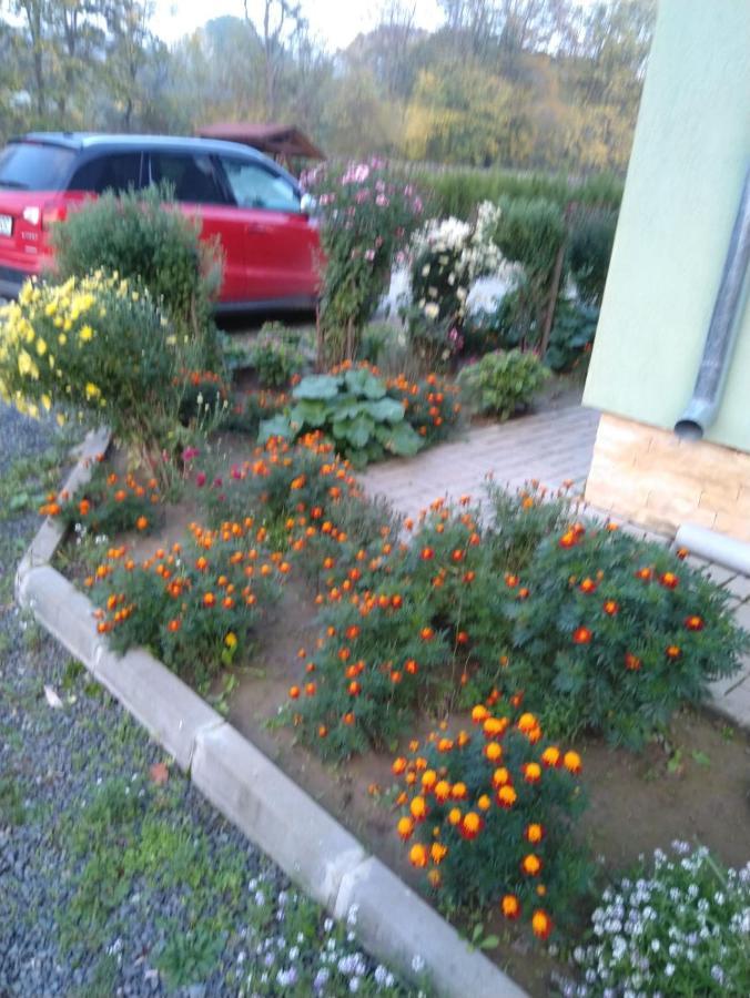 Agropensiunea Cetatuia Luncavita Kültér fotó