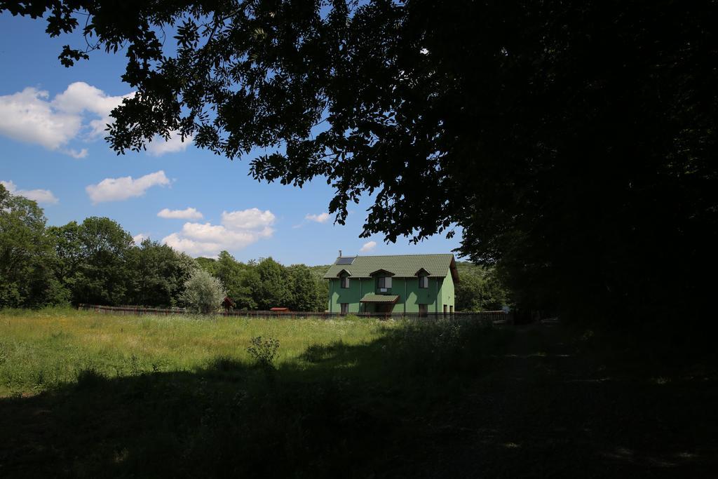 Agropensiunea Cetatuia Luncavita Kültér fotó