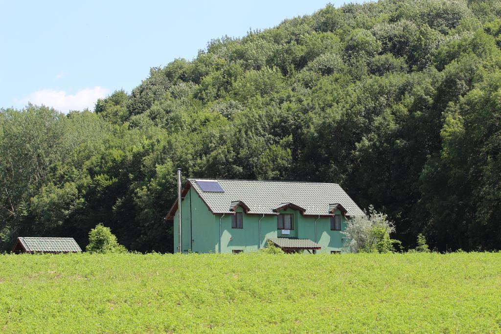 Agropensiunea Cetatuia Luncavita Kültér fotó